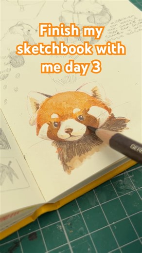 Drawing red pandas ♥️ #artprocess #sketchbook
