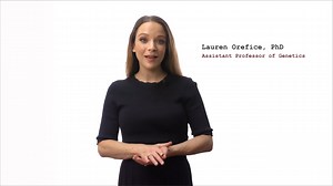 HMS Assistant Professor of Genetics Lauren Orefice studies strategies to treat sensory issues. | Harvard Medical School