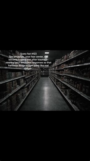 Understanding the Amygdala's Role in Fear Response