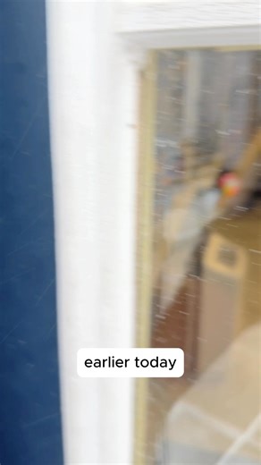 Join us for a little walk-through on a cold, windy day ❄️ Meet some of our adoptable kitties along the way—and stay until the end for an update on one of our senior cats with special needs looking for a special home. Donations can be made via our website www.akronrescuecats.org/donate | Akron Rescue Cats