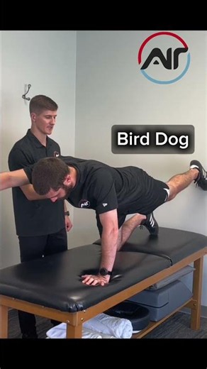 Fix Mid & Upper Back Pain (Thoracic Mobility + Scapular Strength)