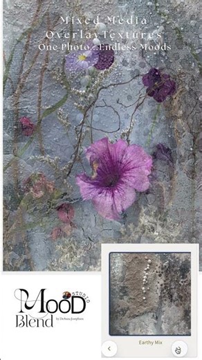 Turn your Photo into a Work of Art with my Original Overlay Textures- A Quiet Walkthrough-Florals