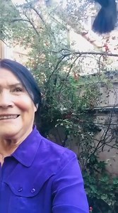 🌍..💫..🕊️..TINKU CÓSMICO – Un canto por el fin de las fracturas humanas Anoche sentí algo que hace mucho no sentía: esperanza. Vi una pequeña luz en medio de tanta oscuridad, un gesto de entendimiento en Oriente Medio. Y mi corazón se alegró. 🌙 Porque lo que ocurre allá, allá lejos —donde los pueblos han sufrido tanto— repercute también aquí, en nuestros cuerpos, en nuestras almas. Los dolores de la humanidad no tienen frontera… como tampoco la tienen las alegrías, que se expanden como frecue