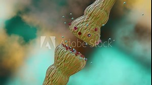 neurotransmitter release mechanisms. Neurotransmitters are packaged into synaptic vesicles transmit signals from a neuron to a target cell across a synapse. opioids, Acetylcholine release, 3d render