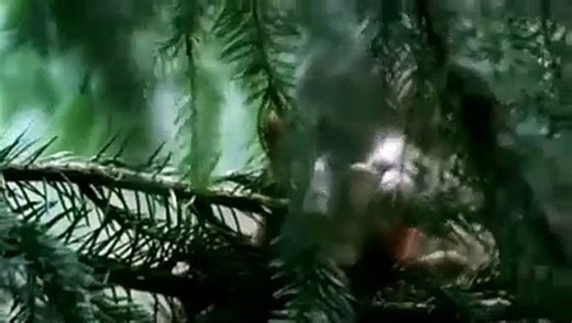 Hänsel und Gretel | movie | 2006 | Official Trailer - video Dailymotion