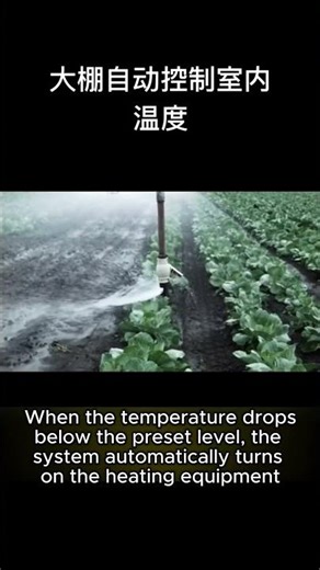 Smart Greenhouse Climate Control Powered by Real-Time Data