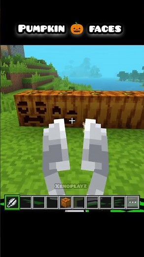 Don't check pumpkin 🎃 faces | #minecraft #petshub #smartgaudget