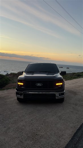 Exploring the Single Cab Ford F150 Coyote
