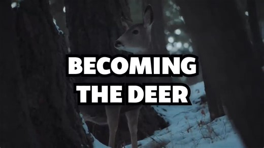 I Tested Every Myth in 99 Nights #Briannaplayz #new #viral #video #roblox #gaming | BriannaPlayz Creation | Facebook