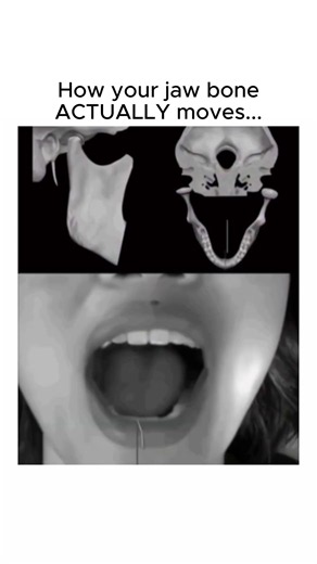 Your Jaw Doesn't Move the Way You Think...