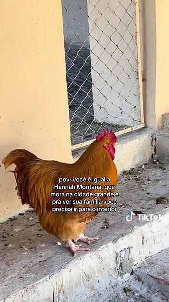 Hannah Montana Meme Interior