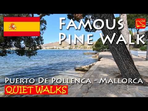 Famous Pine Walk - Quiet Walks (300)