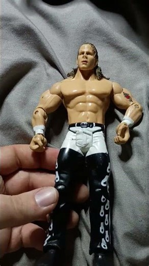 wwe shawn Michaels action figure sold for how much?