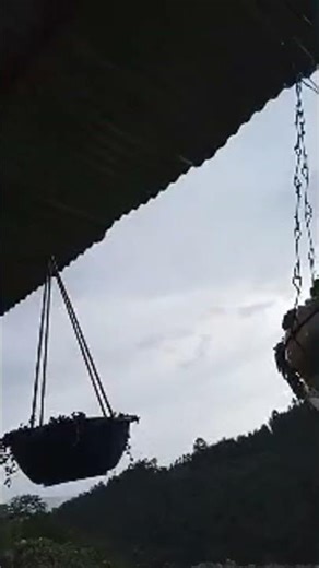 organismos unas macetas colgantes de detergente ,sc de suavizante