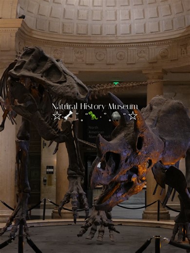 The most bones I've ever seen in a day! 🦴👀 #Historymuseum #Dateidea #kidsactivities #LA #fyp