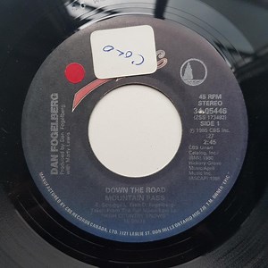 Dan Fogelberg - Down The Road Mountain Pass / High Country Snows