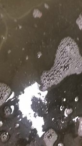 3.2K views · 62 reactions | Southbay Marina is located on the way to Port Aransas just a few miles before the ferry, on the North side of the causeway leaving AP. Live shrimp, minnows, huge blue crab, and the best bait for black drum….sea lice LIVE! Here’s a video of these odd looking creatures that black drum love to gobble up. Come and getcha some! (361) 758-6900. Red white and blue building. #southbaymarina #livebaitfishing #portaransas | Port Aransas Beachlife | Facebook