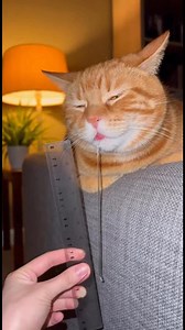 sleeping good | WEIRDnet