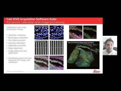 Cell DIVE: Unraveling pathways in pancreatic cancer