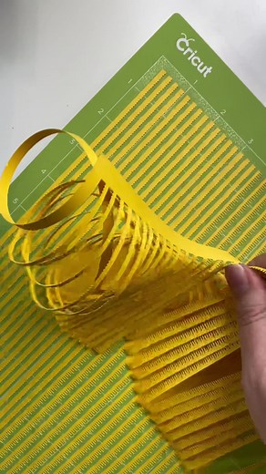 Especially Paper on TikTok