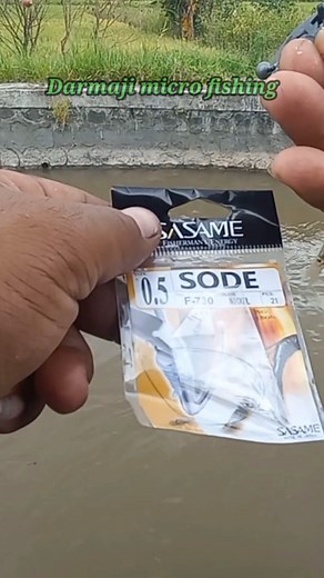 Fishing for Uceng Using a Sasame Sode 0.5 Hook with Go Potato Bait #931