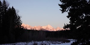 There were wolves in the woods