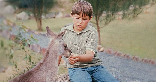 Skippy the Bush Kangaroo - the classic TV series remembered