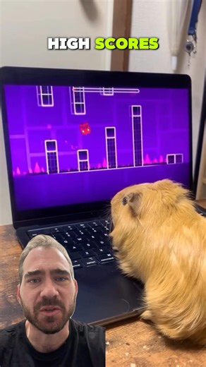 Geometry Dash Cheat Code 🐹 #guineapig #bit #geometrydash