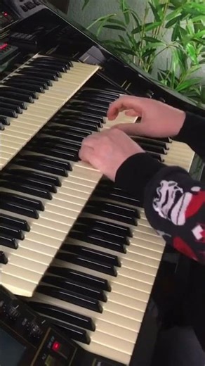 Christmas Story | Florian Hutter - Wersi Atlantis #shorts #organ #christmas