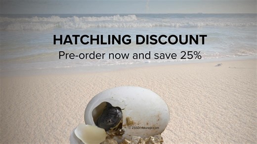 A new era in natural history publishing begins 🐢✨ We’re thrilled to announce the Handbook of the Reptiles of the World, the long-awaited companion to our acclaimed Handbooks of the Birds and Mammals of the World. The series launches with Turtles and Crocodiles, a landmark volume offering the most complete visual and scientific overview ever published on these ancient reptile groups. To celebrate its announcement, we’re offering 25% off all pre-orders placed until November 11! 🔹 17 comprehensiv