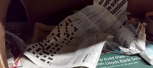 Nita is nest building again. To help her I've torn up some fresh newspaper. Her busy life is paying dividends as she's also eating alot and is up by 20g overnight to 259. Very encouraging. | The Disappearing Hedgehog