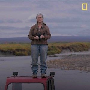 Sue sees a bear and that bear sees her, too! Tune into a new episode of Life Below Zero tomorrow night at 8/7c. | National Geographic TV