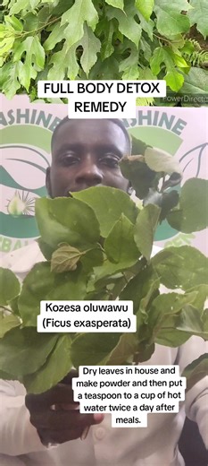 Full Body Detox: Natural Remedies and Instructions