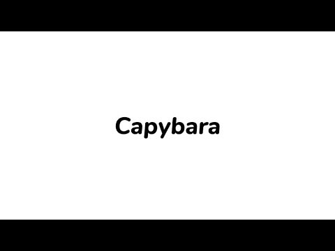 How to pronounce CAPYBARA