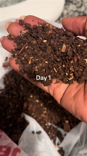 ♻️ UNBOXING the Future of Composting! 🌱 Watch as we unbox and test out the latest electric composter that turns food scraps into rich, earthy compost in hours! From sleek design to surprisingly quiet operation, this eco-friendly gadget blew us away. The results? A bin of nutrient-packed compost ready for the garden — no mess, no smell, just pure magic. 🌍✨ #Unboxing #ElectricComposter #EcoFriendlyLiving #SustainableHome #CompostLife