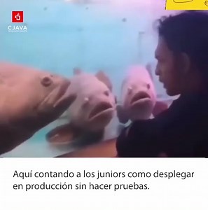  ¡Aprende a dominar los Microservicios con Java!  ¡Regístrate sin...