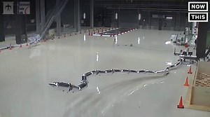 593K views · 742 shares | This balloon snake is actually a robot designed to conduct search missions | NowThis Earth | Facebook