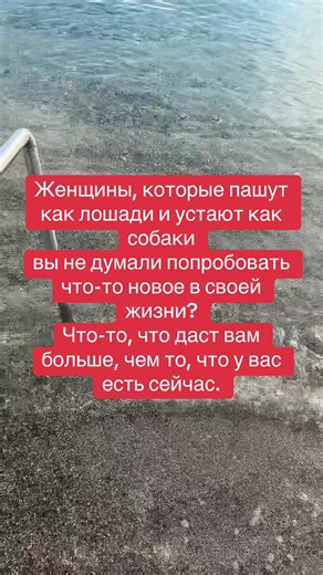 Как долго ты ещё будешь просто листать страницы в интернете? Час. Два. Каждый день. Что это тебе даёт? Кроме усталости и ощущения, что время утекает. А если бы это время начало приносить тебе деньги? Не мечты. Не обещания. А реальную возможность попробовать по-другому.