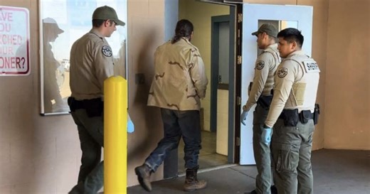 Man arrested after several cows were found shot and killed in the Snowflake area