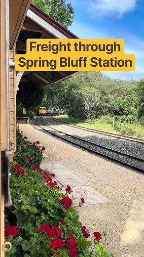 Grain Train Through Beautiful Spring Bluff 🚂🌿 #QueenslandRail #GrainTrain