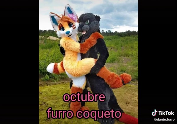 Dante-furro on TikTok