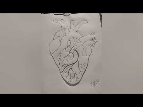 Science project drawing |biological figure for science students project |#arts #trend #dear #shorts