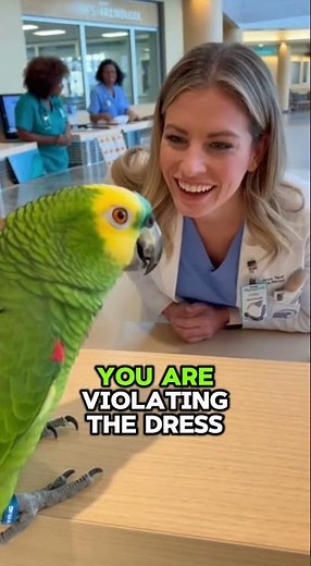 PARROT Files Medical Complaint: "Stop Looking Like a Model!" 🩺🦜⚖️