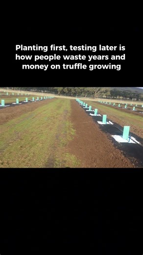 Planting First, Testing Later Wastes Years