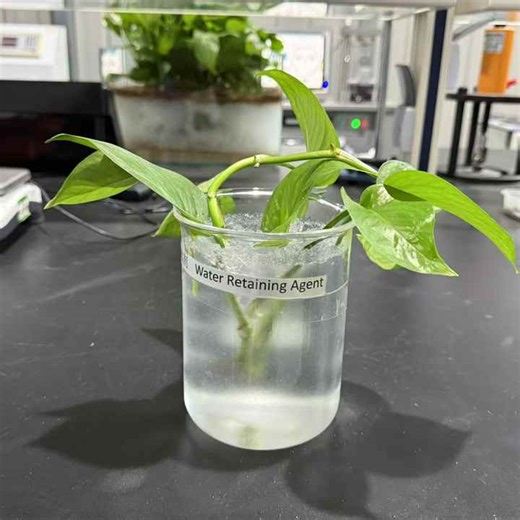 Water-retaining Agent for Improving Soil Moisture with Long Service Life Made in China