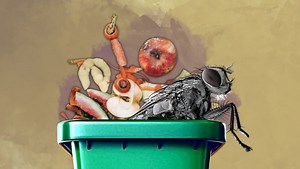 Prevent maggots from overtaking your green bin with these game-changing tips - The Weather Network