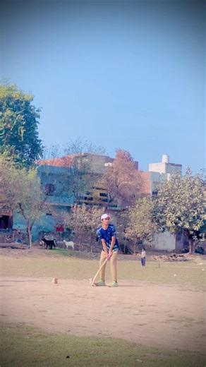 Exciting Cricket Highlights Featuring Top Players