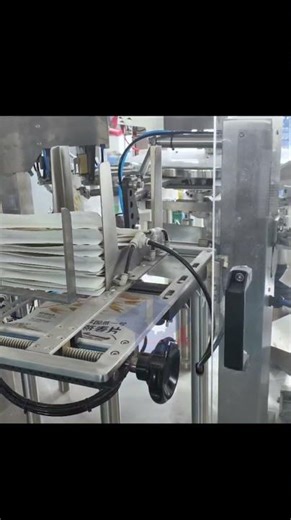 Oat Bag in Bag Pouch Packing Machine #packingmachine #oat #machine