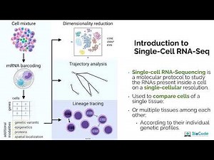 Introduction to Single-Cell RNA-seq, Its Pipeline and Analysis | BioCode: Learn Bioinformatics