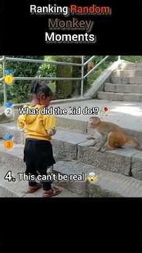 Ranking the most stupidly random monkey moments 🐒🙊#filterchallenge #funny #funnyanimal #pets